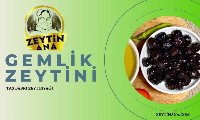 ZeytinAna: gemlik zeytini, taş baskı zeytinyağı