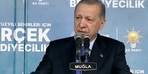 Erdoğan, Muğla'daki son gelişmeleri açıkladı: Bu hafta başlayacak